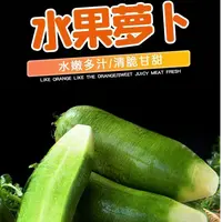 正宗辽宁水果萝卜 新鲜应季 清甜多汁 产地直发