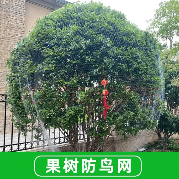 果树防鸟网樱桃树嘉宝树防鸟网罩葡萄园挡鸟拦鸟网子果树园防护网