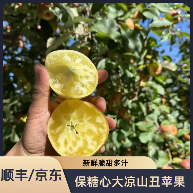 保证糖心【顺丰/京东】大凉山正宗丑苹果新鲜现摘脆甜多汁保糖心