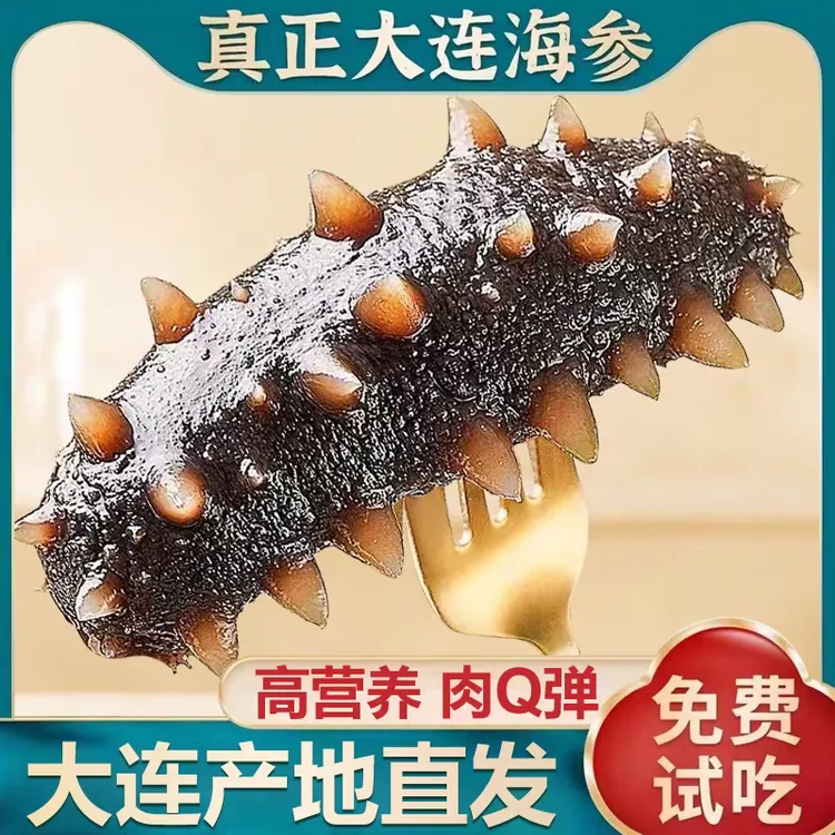 『鲜食海参』10-12头500g海参正宗辽参即食 Q弹口感 独立真空包装