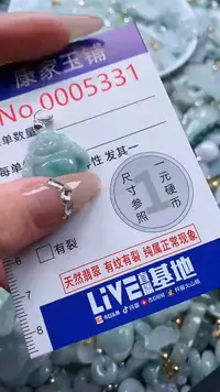 翡翠未镶嵌吊坠(不含链)5331
