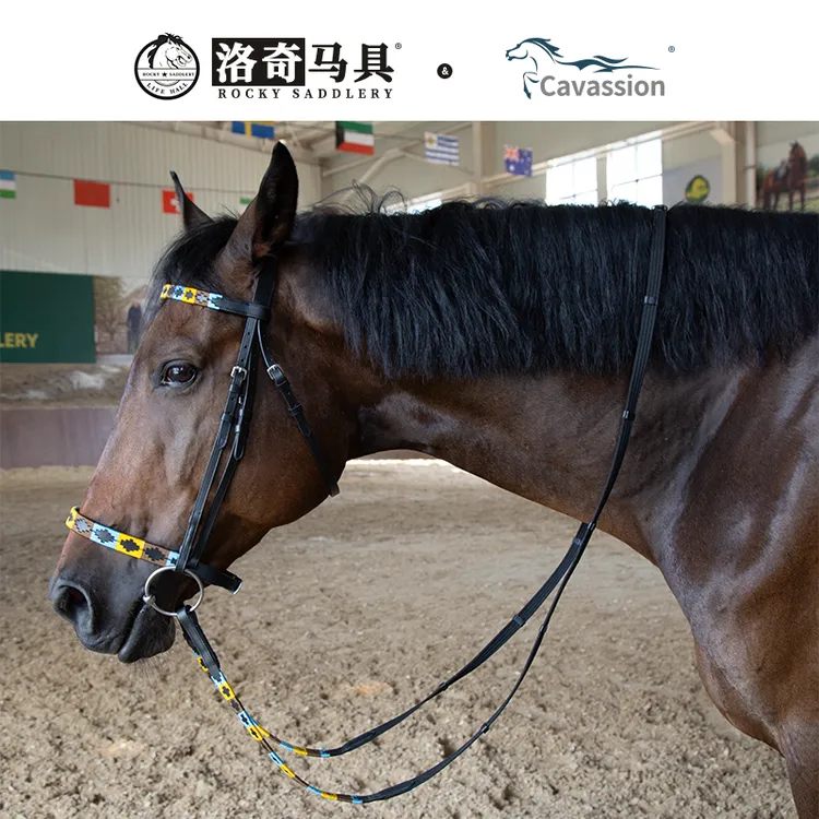 cavassion牛皮水勒缰  骑马 马术洛奇马具8218119