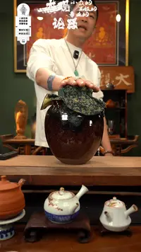 瓷片大观论器铝宋壶