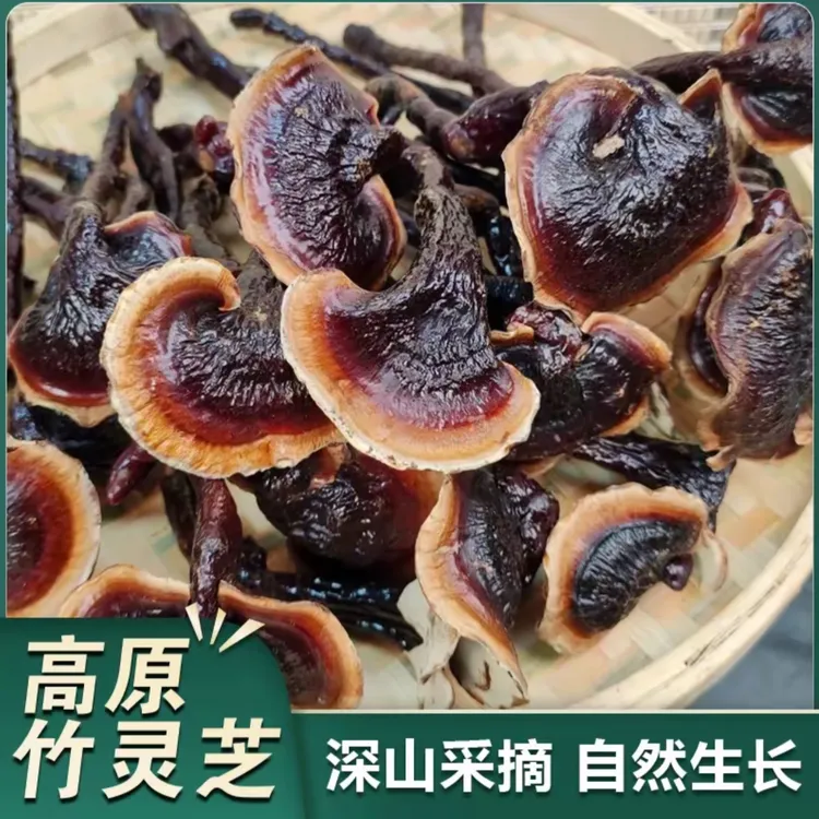【云南特产】高原下山货竹灵芝 助农山货竹灵芝 煲汤煮茶滋补营养