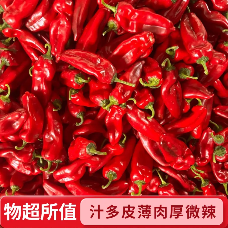 新鲜现摘 皮薄肉厚微甜辣红辣椒红尖椒大红泡椒做酱专用