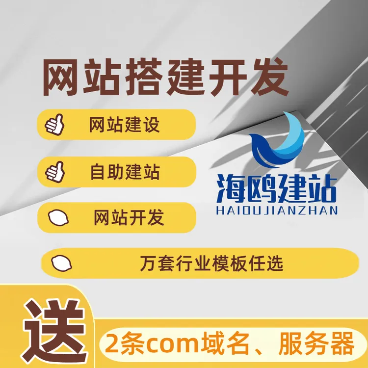 网站建设制作企业官网公司开发定制模板搭建商城网站小程序一条龙