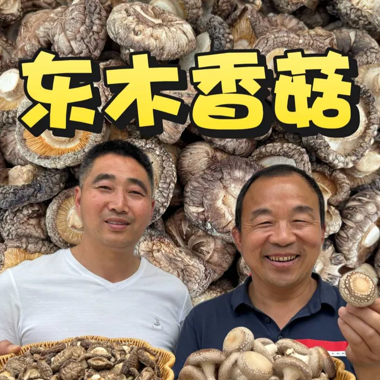 高山农家种植特产干香菇