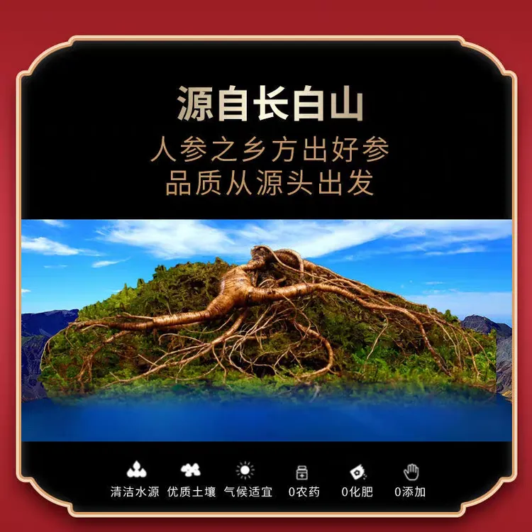 视频同款（下乡收的参）原始森林新鲜参