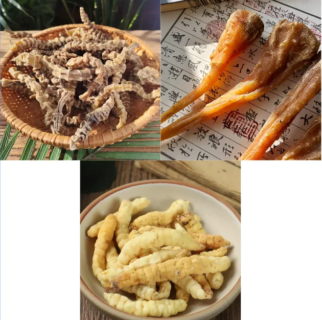 雪域三宝【藏雪参】【白虫草】【虫草参】  熹菊山房专属 可搭配枸杞