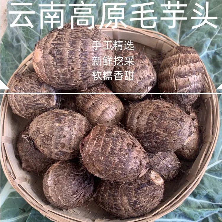 云南高山毛芋头 当季新鲜现挖 手挑精品芋仔 软糯口感 农家自种