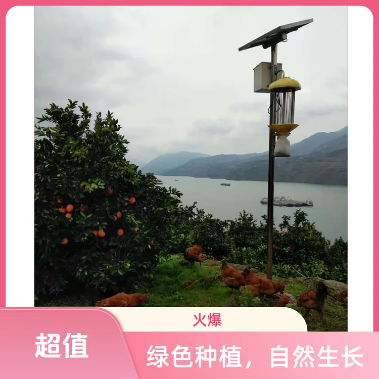 超赣奉节脐橙【假一赔十】