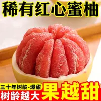 正宗红心蜜柚当季新鲜柚子水果皮薄肉厚香甜多汁多仓发货