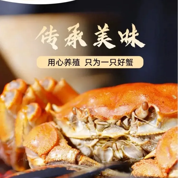  自产自销[江苏大闸蟹]2.5两全母10只礼盒装，产地鲜活直达