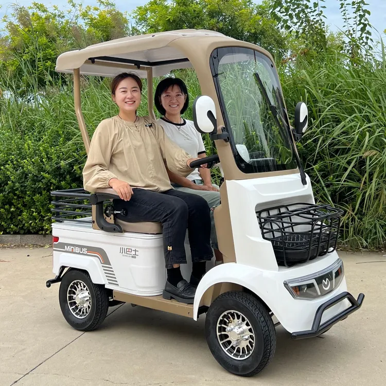 小巴士A2电动四轮车家用老年接送孩子拉货出行代步车