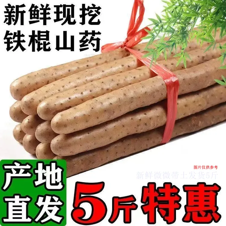 铁棍山药五斤软糯香甜营养美味生鲜蔬菜带土30-40厘米