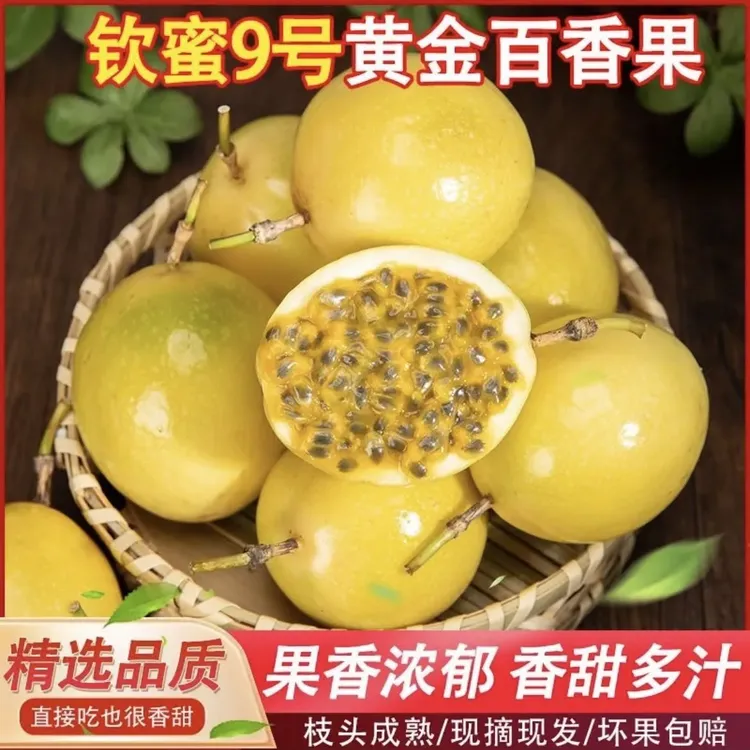 百香果9号百香果鲜果正宗钦蜜9号黄金百香果现摘超甜大果整箱