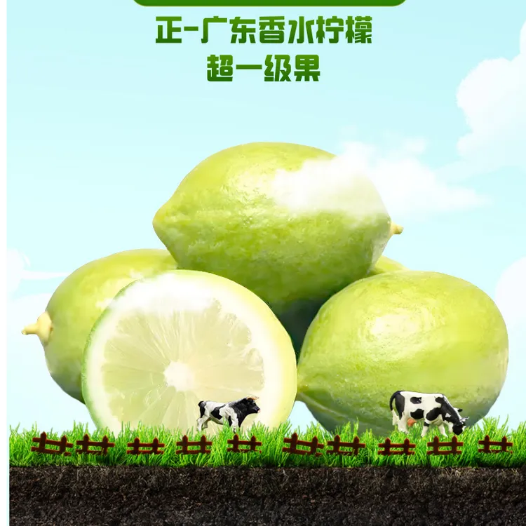 【家庭推荐】香水柠檬超一级果（鲜果，送货上门）新鲜多汁青柠檬