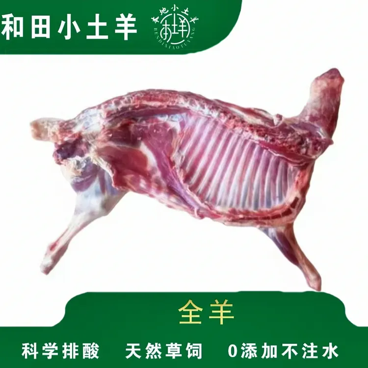 全国包邮新疆和田本地土羊 半只羊14-20斤 肉质新鲜