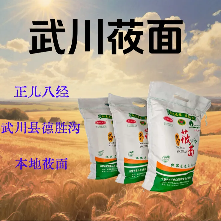 武川莜面 内蒙古高原莜面 粗粮 莜面粉 燕麦 纯莜面内蒙古特产5斤