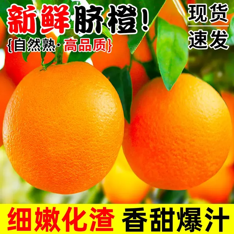 【现摘现发】正宗赣南橙子新鲜采摘应季水果香甜多汁手剥橙信丰直发