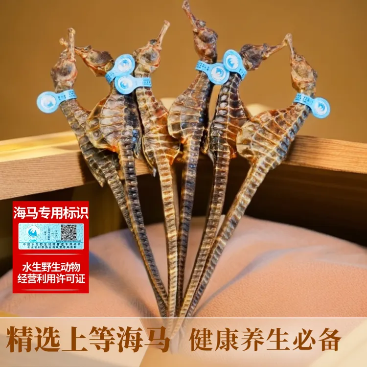 【特大马3-4克/只】海马干货正品真带溯源码男女海马海马泡酒专用