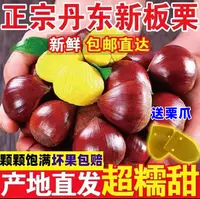 【买三斤送两斤】2025年新鲜现摘高山板栗清脆甘甜难剥皮送栗爪Z5