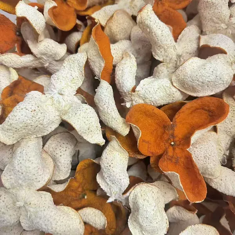 2025广西陈皮浦北茶枝柑老树冬后大红皮