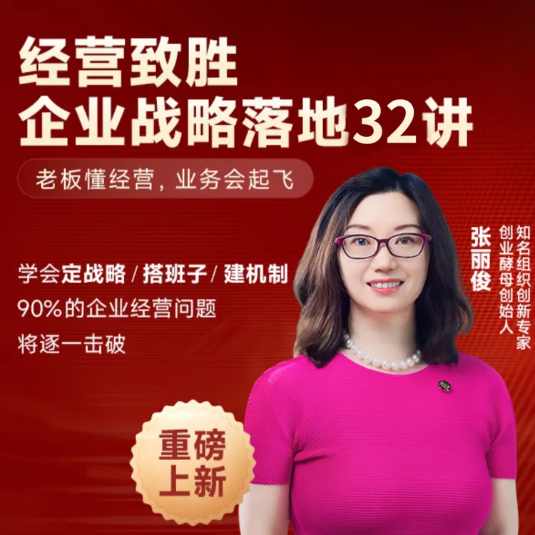创业酵母经营致胜：企业战略落地32讲