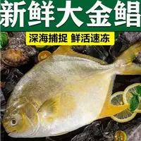 深海金鲳鱼金昌鱼镜鱼平鱼1-1.2斤/条 到手3+1条新鲜捕捞海鱼