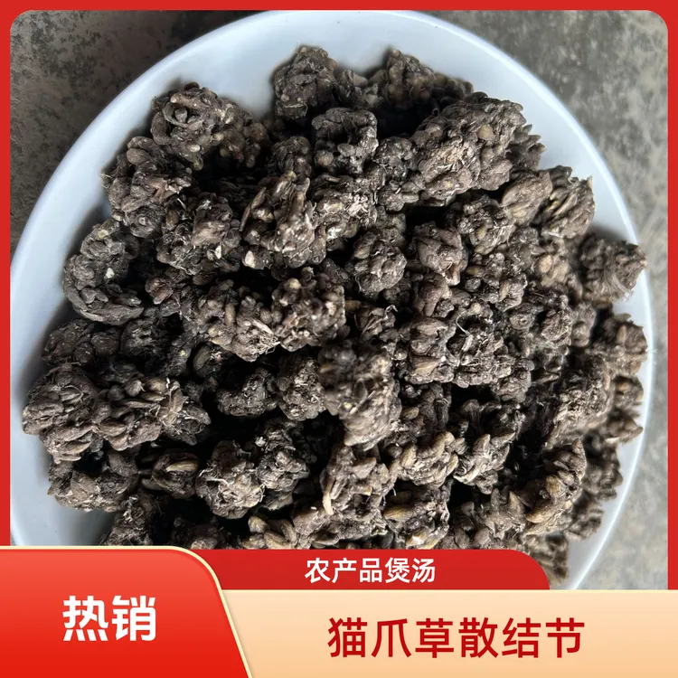 初级农产品猫爪草散结节消囊肿泡水煲汤均可恐怖