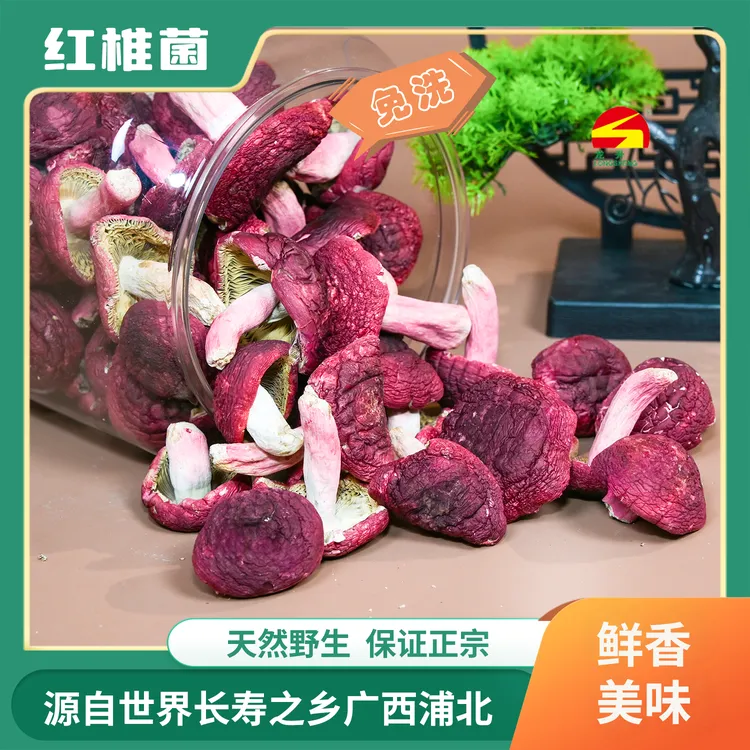 浦北龙升红椎菌免洗红菇散装100g国家地理标志保护产品(一级)