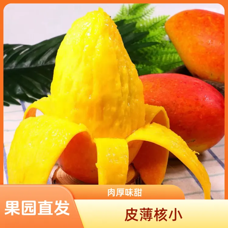 【果园直发 放软吃】贵妃芒果 皮薄核小肉厚 现摘热带水果