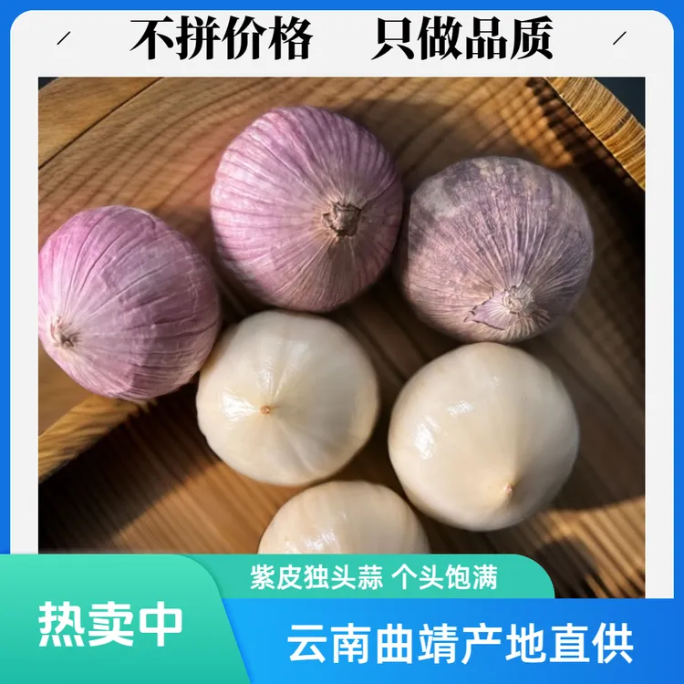 云南紫皮独头蒜蒜头现挖香辣特辣饱满新鲜农家大蒜头红辣独头干蒜