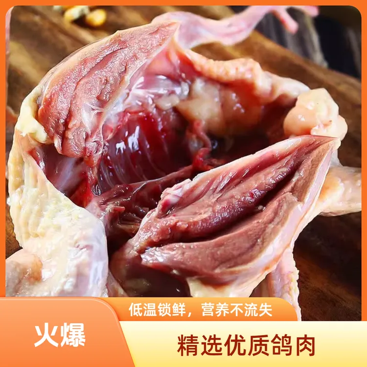 淮羽优老鸽子散养三年新鲜现宰煲汤杂粮鸽发顺丰包邮整只生鲜美味