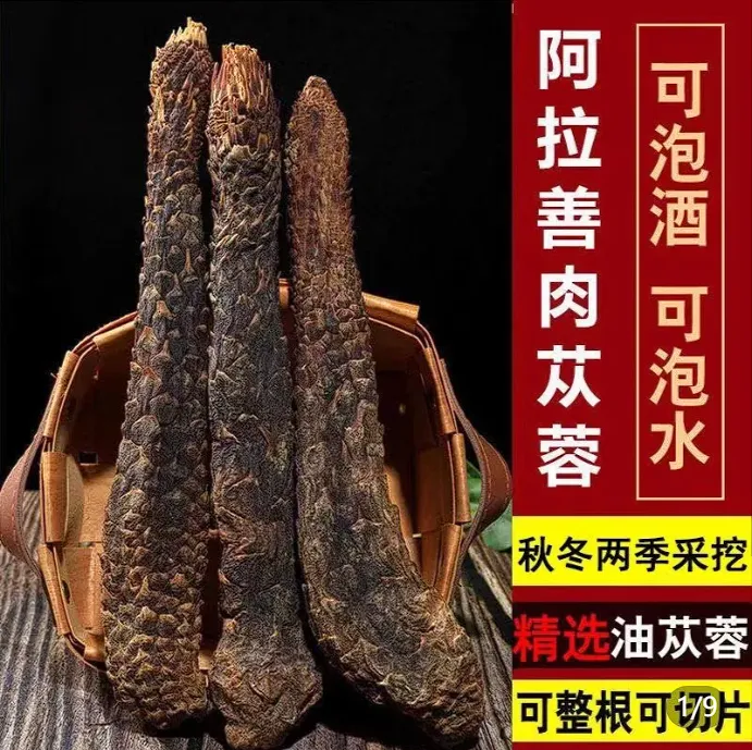 【有蓉乃大】内蒙古阿拉善软油肉苁蓉整根泡茶泡酒正品整根大根苕皮