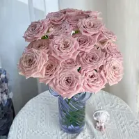 【云舍花卉】【甜蜜曼塔】单头玫瑰全场任意满两单及以上鲜花包邮