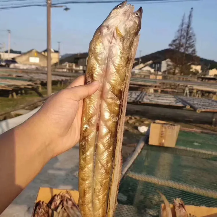 温州特产七星油鳗干新鲜淡晒微咸无刺鳗鱼干整条沙鳗鲞海鲜干货
