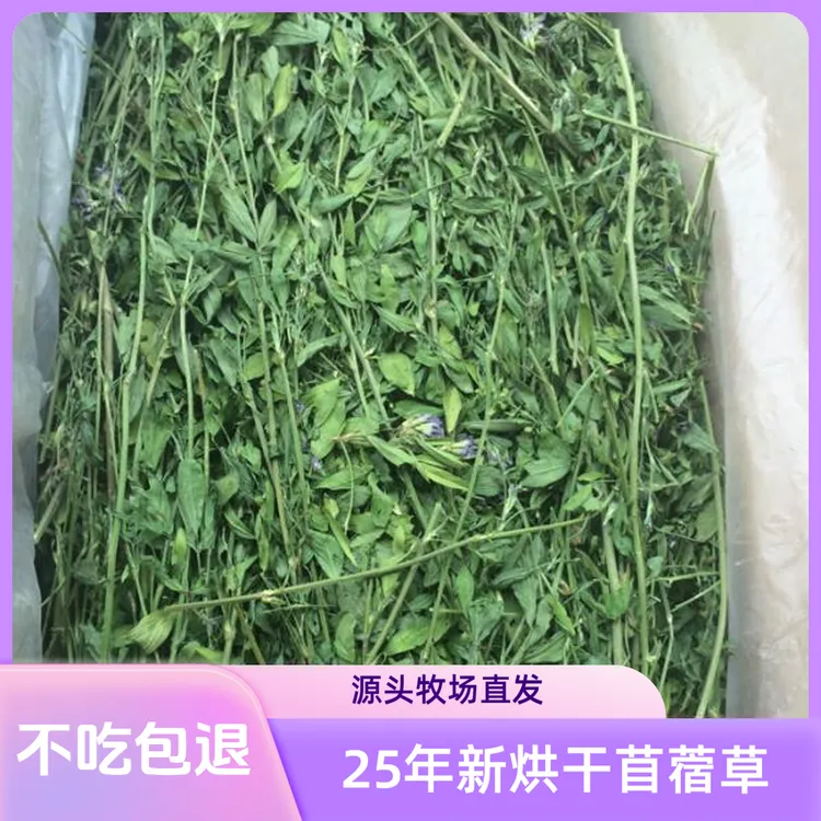 紫花苜蓿草烘干苜蓿草龙猫兔兔荷兰猪豚鼠粮大叶细杆
