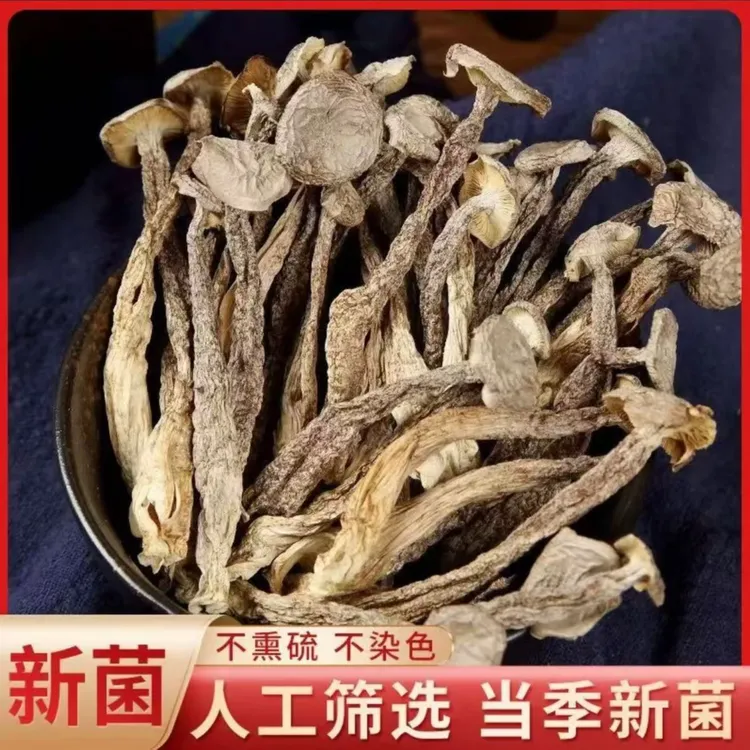 古田鹿茸菇干货农家特产净重无干燥剂无硫熏烹炒炖煮味美鲜香脆嫩