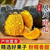 内蒙露天贝贝南瓜真贝贝南瓜粉糯香甜板栗味宝宝辅食新鲜4.5斤起