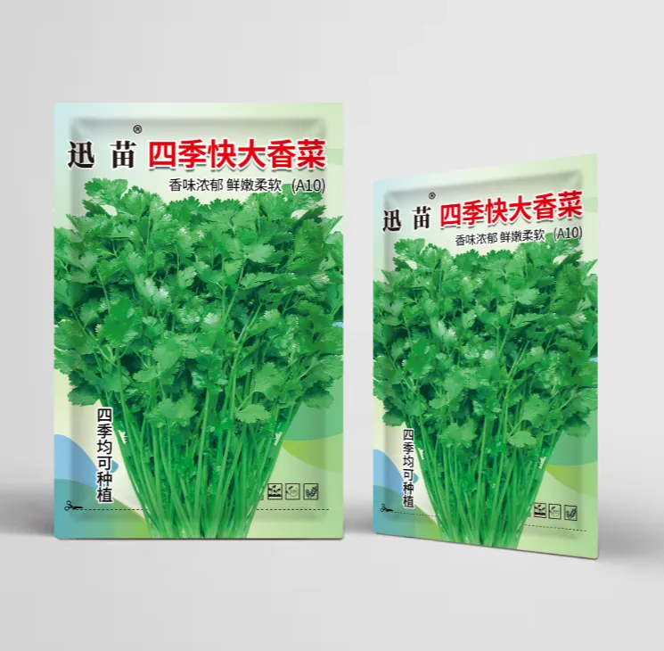 （全店满5元包邮）大叶香菜种子种植耐抽薹芫荽种籽种子蔬菜种子
