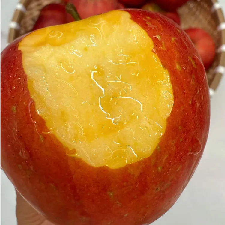 昭通现摘丑苹果脆甜爽口味浓新鲜水果