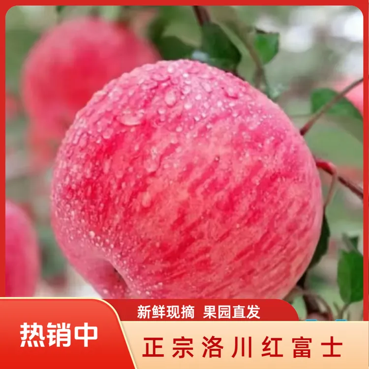 正宗洛川红富士苹果今年鲜果带箱9.5-10斤