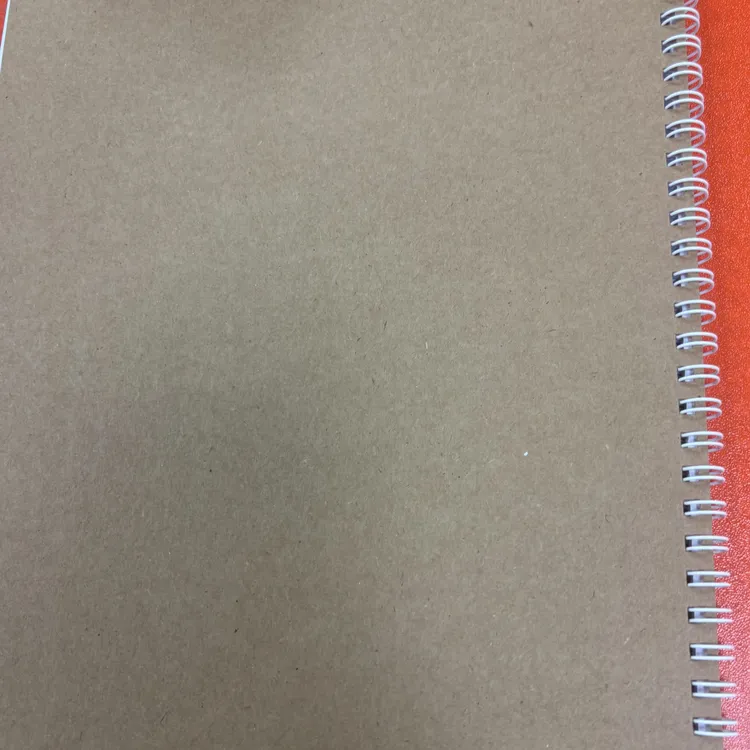 资深老师整理新2笔记铁圈装订本册资料