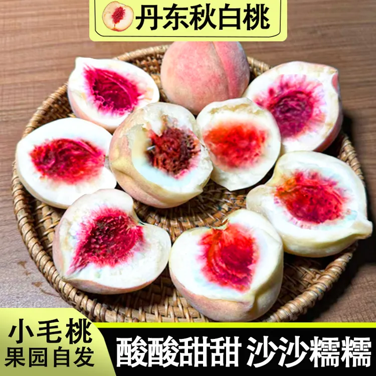 【放软酸酸甜甜】丹东老树秋白桃 酸大于甜放软沙沙糯糯桃味十足Q