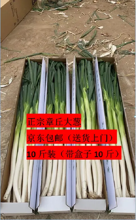 正宗章丘大葱生吃蘸酱炒菜炖肉京东发货送货上门