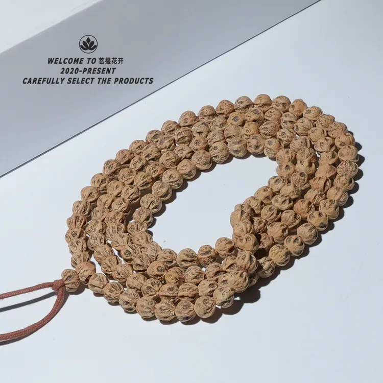 （三喜出品原桩热振）尺寸7mm左右  高油高密百香籽