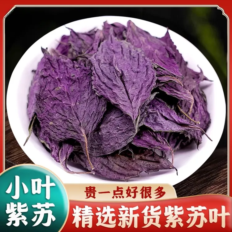 紫苏叶正品农家新货紫苏叶干紫苏叶泡茶泡脚香料自然无硫紫苏饮