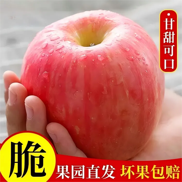 烟台红富士苹果家庭装新鲜水果鲜果生鲜瓜果冬天解渴代餐维c应季