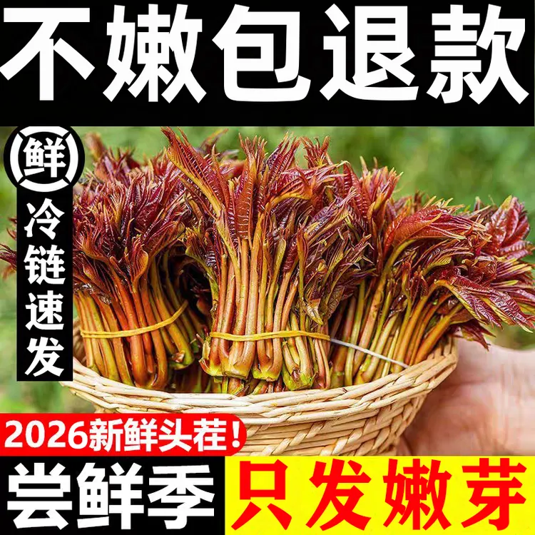 【顺丰包邮】头茬香椿芽四川新鲜香春嫩芽云南露天红油春芽叶蔬菜商品图